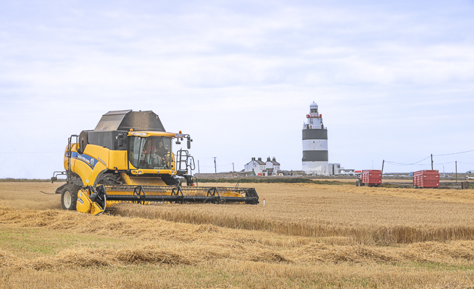 Theme_Cutting the Crop - Hook Peninsula